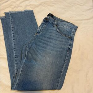 Banana Republic Denim Straight Leg Jeans